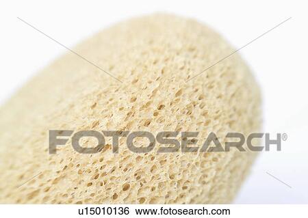 textures, close, bea, sponge, up, detailed View Large Photo Image Stock Photograph - textures, close, bea, sponge, up, detailed. Fotosearch