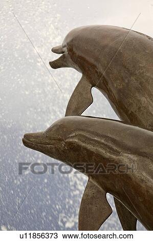 together, dolphins, water, out, leaping, two View Large Photo Image Stock Image - together, dolphins, water, out, leaping, two. Fotosearch
