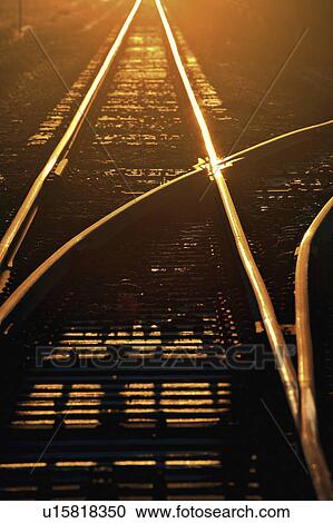 track, sun, railroad, up, lighting, morning View Large Photo Image Stock Image - track, sun, railroad, up, lighting, morning. Fotosearch