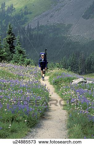 trail, released, outdoors, washington, flower, model View Large Photo Image Stock Image - trail, released, outdoors, washington, flower, model. Fotosearch