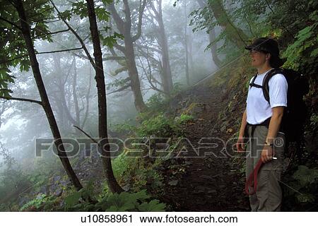 trail, released, walk, hiking, outdoors, model View Large Photo Image Stock Image - trail, released, walk, hiking, outdoors, model. Fotosearch