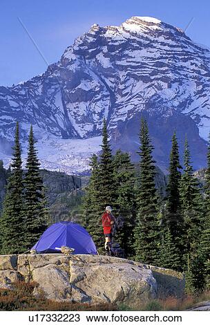 Stock Image - up, released, hiking, national, forest, model. Fotosearch