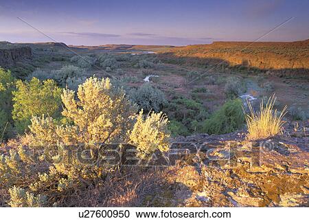 Stock Image - usa, rock, columbia, national, canyon, scenic. Fotosearch