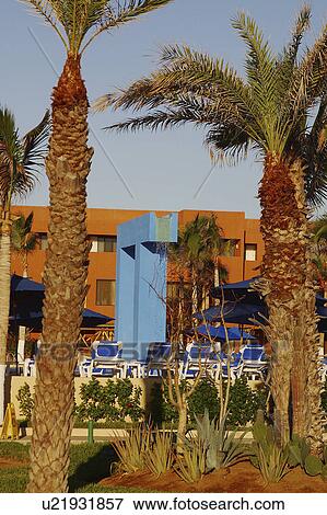 Stock Photo - view, cabos, beach, hotel, partial. Fotosearch