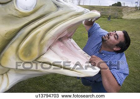 walleye, staring, largest, worlds, jaws, bravely View Large Photo Image Stock Image - walleye, staring, largest, worlds, jaws, bravely. Fotosearch
