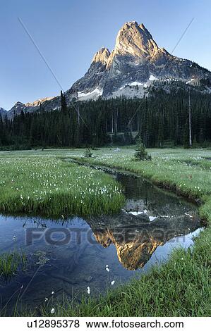 washington, below, mountain, bell, liberty, pond View Large Photo Image Stock Photo - washington, below, mountain, bell, liberty, pond. Fotosearch
