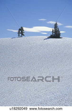 washington, day, peaceful, hillside, frozen, tree View Large Photo Image Stock Photo - washington, day, peaceful, hillside, frozen, tree. Fotosearch