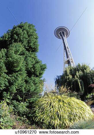 washington, space, garden, peace, needle, seattle View Large Photo Image Stock Image - washington, space, garden, peace, needle, seattle. Fotosearch