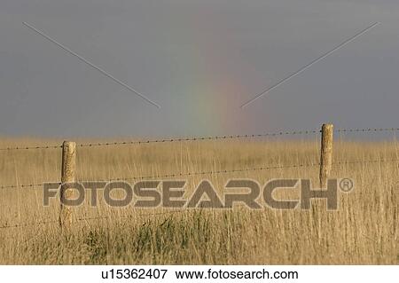 western, prairies, saskatchewan, southern, scenic, rainbow View Large Photo Image Stock Photo - western, prairies, saskatchewan, southern, scenic, rainbow. Fotosearch