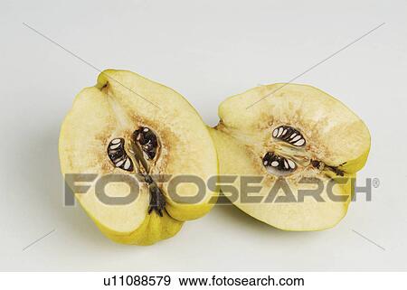 white, cook, comestible, background, quince View Large Photo Image Stock Photo - white, cook, comestible, background, quince. Fotosearch