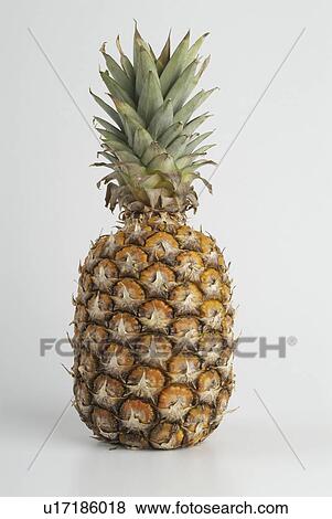 white, cook, comestible, background, pineapple View Large Photo Image Stock Photo - white, cook, comestible, background, pineapple. Fotosearch