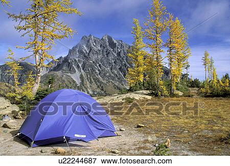 Stock Photo - wilderness, forest, released, lake, washington, alpine. Fotosearch