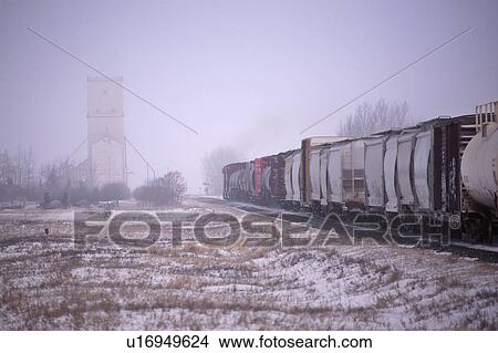 Picture - winter, approaching, canada, saskatchewan, milestone, train. Fotosearch