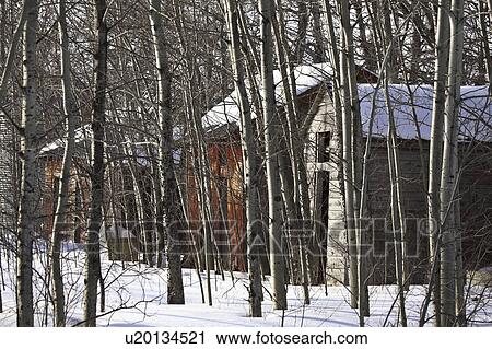 Stock Image - winter, farm, bluff, aspen, building, old. Fotosearch