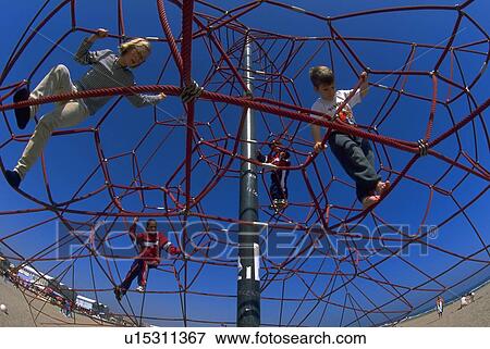 wire, internet, bars, monkey, red View Large Photo Image Stock Photo - wire, internet, bars, monkey, red. Fotosearch