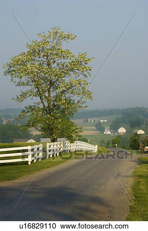 Stock Image - yoder, road, country, amish, ohio, farm. Fotosearch