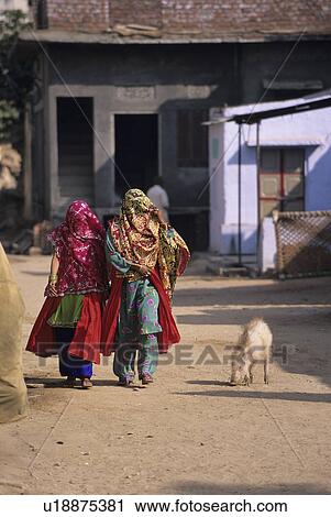 インド Rajastan Samode 村 女 入って来なさい 村 で 豚 上に 通り ストックイメージ U Fotosearch