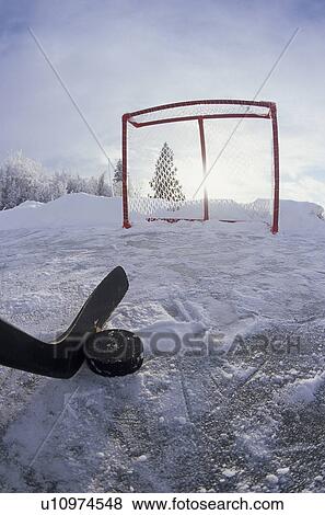 hockey stick and net