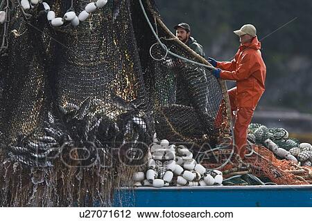 Stock Image - A close up view of a purse seine salmon set in Chatham Strait, Southeast Alaska, USA. Pacific ocean. No model or property releases.. Fotosearch