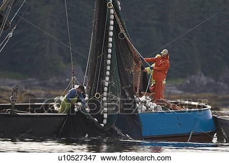 Stock Photo - A close up view of a purse seine salmon set in Chatham Strait, Southeast Alaska, USA. Pacific ocean. No model or property releases.. Fotosearch