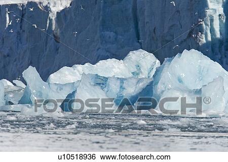 Stock Photograph - A huge shooter of ice calved from under the Storpollen Glacier, on the southwestern side of Spitsbergen Island in the Svalbard Archipelago, Barents Sea, Norway.. Fotosearch