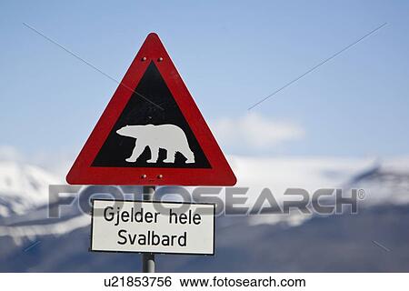 A view of a polar bear warning sign just outside the town of Longyearbyen on the west side of Spitsbergen Island in the Svalbard Archipelago in the Barents Sea, Norway. View Large Photo Image Stock Photograph - A view of a polar bear warning sign just outside the town of Longyearbyen on the west side of Spitsbergen Island in the Svalbard Archipelago in the Barents Sea, Norway. . Fotosearch