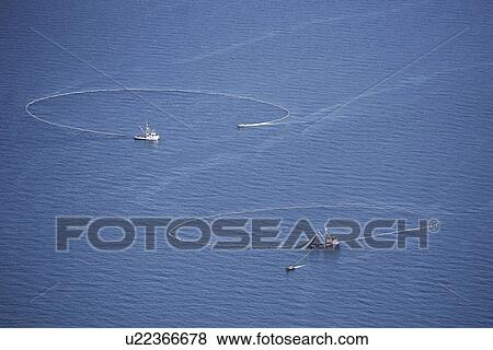 Stock Photo - Aerial view of the Alaskan purse-seiner fishery for wild salmon off Point Augustus, Chichagof Island, Southeast Alaska, USA.. Fotosearch