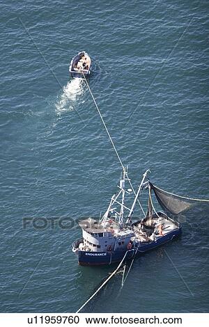Aerial view of the purse-seiner fishery for salmon off Point Augustus, Chichagof Island, Southeast Alaska, USA. Skiff keeping the big boat out of the net. (rr) View Large Photo Image Stock Image - Aerial view of the purse-seiner fishery for salmon off Point Augustus, Chichagof Island, Southeast Alaska, USA. Skiff keeping the big boat out of the net. (rr). Fotosearch