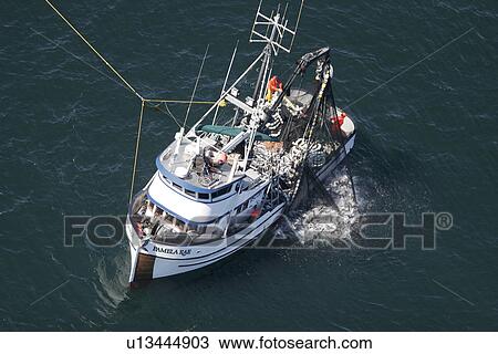 Stock Image - Aerial view of the purse-seiner fishery for salmon off Point Augustus, Chichagof Island, Southeast Alaska, USA. Bringing in the haul.. Fotosearch