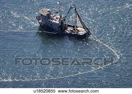 Aerial view of the purse-seiner fishery for salmon off Point Augustus, Chichagof Island, Southeast Alaska, USA. Closing the purse. (rr) View Large Photo Image Stock Photography - Aerial view of the purse-seiner fishery for salmon off Point Augustus, Chichagof Island, Southeast Alaska, USA. Closing the purse. (rr). Fotosearch