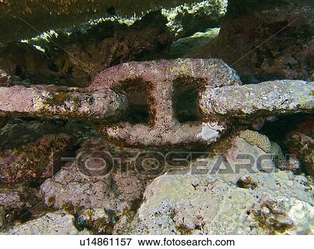 Anchor chain of the Kormoran wreck. Laguna Reef, Sharm El Sheikh, South Sinai, Red Sea, Egypt. View Large Photo Image Stock Photo - Anchor chain of the Kormoran wreck. Laguna Reef, Sharm El Sheikh, South Sinai, Red Sea, Egypt.. Fotosearch