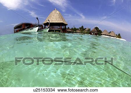 Picture - Angaga House Reef, Maldives, Indian Ocean. Fotosearch