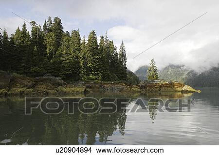 Picture - Baranof Island detail in Southeast Alaska, USA. Pacific Ocean.. Fotosearch