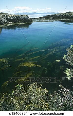 Picture - Cairns of Coll, Hebrides, Scotland. Fotosearch