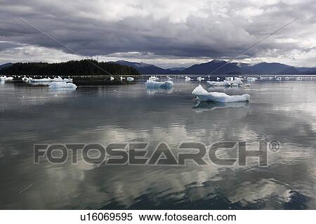 Calved icebergs and bergy bits fallen from the Le Conte Glacier in Le Conte Bay, Southeast Alaska, USA. Le Conte glacier is the southernmost tidewater glacier in the northern hemisphere. View Large Photo Image Stock Photography - Calved icebergs and bergy bits fallen from the Le Conte Glacier in Le Conte Bay, Southeast Alaska, USA. Le Conte glacier is the southernmost tidewater glacier in the northern hemisphere.. Fotosearch