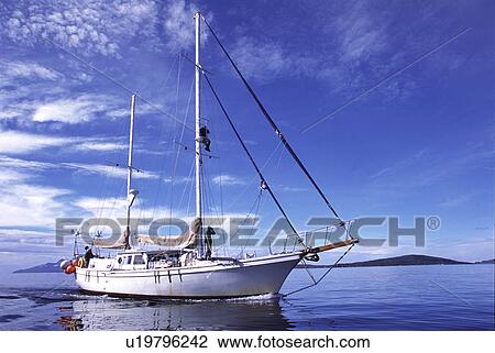 Cetacean surveys being carried out by yacht with crew member in crow's nest on the mast. Hebrides, Scotland View Large Photo Image Stock Image - Cetacean surveys being carried out by yacht with crew member in crow's nest on the mast. Hebrides, Scotland. Fotosearch