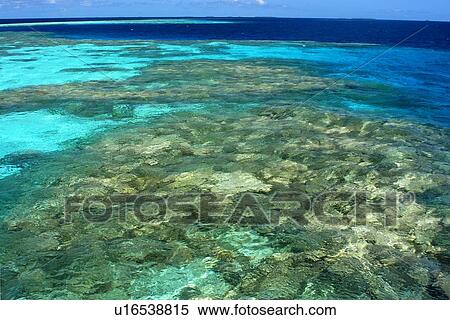 Stock Photography - Coral reef, Namu atoll, Marshall Islands (N. Pacific). Fotosearch