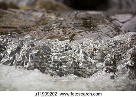 Detail from a waterfall in the small Norwegian summer area in Sandvika Bay on the south side of Svesfjord, Norway. View Large Photo Image Stock Image - Detail from a waterfall in the small Norwegian summer area in Sandvika Bay on the south side of Svesfjord, Norway.. Fotosearch