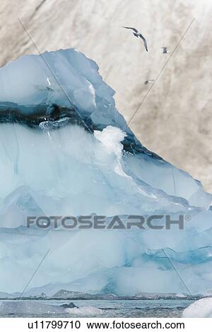 Detail of a shooter calved from below the oceans surface at Storpollen Glacier, on the southwestern side of Spitsbergen Island in the Svalbard Archipelago, Barents Sea, Norway. View Large Photo Image Stock Image - Detail of a shooter calved from below the oceans surface at Storpollen Glacier, on the southwestern side of Spitsbergen Island in the Svalbard Archipelago, Barents Sea, Norway.. Fotosearch