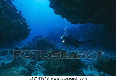 Diver in Cavern. Cayman Islands. View Large Photo Image Stock Photo - Diver in Cavern. Cayman Islands.. Fotosearch