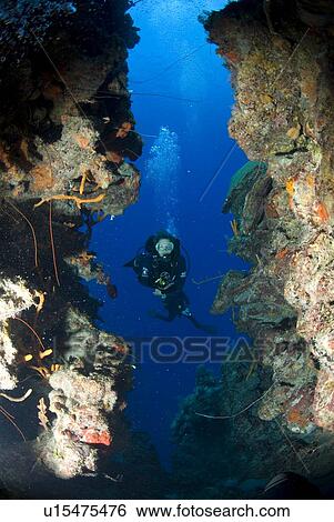 Stock Photograph - Diver on tropical coral reef and caverns, Maria La Gorda, Cuba, Caribbean. Fotosearch