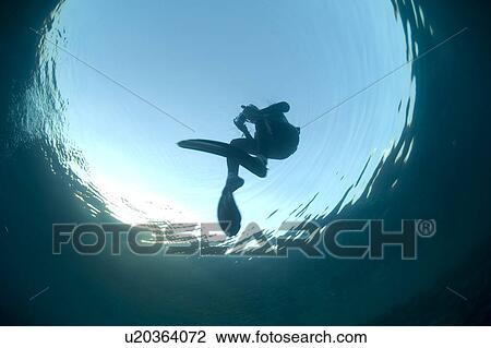 Diver. Tunduba bay, Red Sea, Egypt. View Large Photo Image Stock Image - Diver. Tunduba bay, Red Sea, Egypt.. Fotosearch