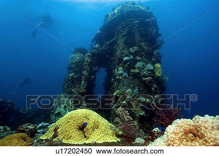 Divers explore the main deck, Fujikawa Maru shipwreck, Truk lagoon, Chuuk, Federated States of Micronesia, Pacific View Large Photo Image Stock Image - Divers explore the main deck, Fujikawa Maru shipwreck, Truk lagoon, Chuuk, Federated States of Micronesia, Pacific. Fotosearch