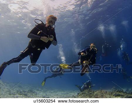 Divers heading out for a dive. Ras Katy, Sharm El Sheikh, South Sinai, Red Sea, Egypt. View Large Photo Image Picture - Divers heading out for a dive. Ras Katy, Sharm El Sheikh, South Sinai, Red Sea, Egypt.. Fotosearch
