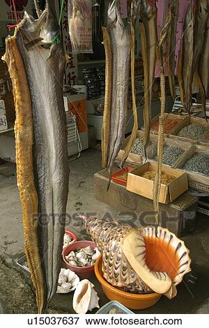 Dried Moray Eels and Shells for sale at Nanfangao fish market, Suao, Taiwan (Republic of China) View Large Photo Image Stock Photo - Dried Moray Eels and Shells for sale at Nanfangao fish market, Suao, Taiwan (Republic of China). Fotosearch