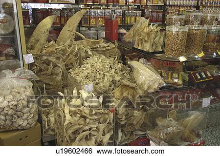 Stock Photograph - Dried shark fins for sale in traditional chinese medicine store, Taipei, Taiwan (Republic of China). Fotosearch
