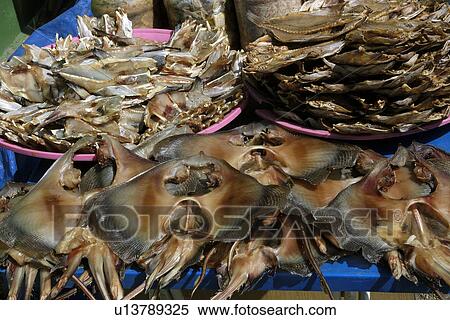 Stock Photography - Dried stingrays and fish for sale at a seafood market. Near Yeongjongdo pier, Incheon, Gyeonggi-Do, South Korea. Fotosearch
