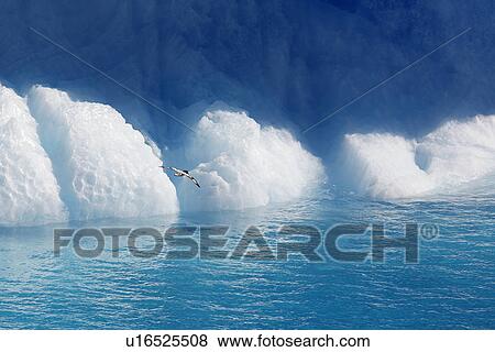 Edge of an iceberg in and around the Antarctic Peninsula during the summer months. More icebergs are being created as global warming is causing the break up of major ice sheets. View Large Photo Image Stock Photo - Edge of an iceberg in and around the Antarctic Peninsula during the summer months. More icebergs are being created as global warming is causing the break up of major ice sheets.. Fotosearch