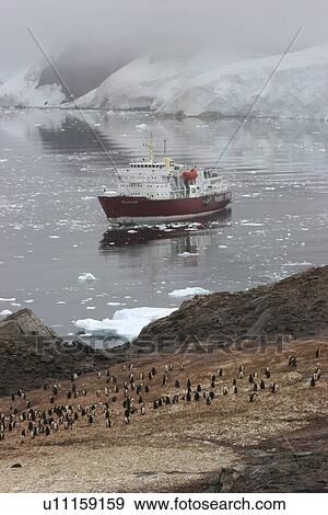 Expedition passenger icebreaker, Polar Star, Antarctica. View Large Photo Image Stock Photo - Expedition passenger icebreaker, Polar Star, Antarctica.. Fotosearch