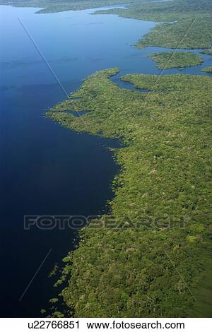 Flooded tropical rain forest, aerial view, Amazonas, Brazil View Large Photo Image Stock Image - Flooded tropical rain forest, aerial view, Amazonas, Brazil. Fotosearch